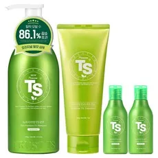 TS 뉴프리미엄 샴푸 500g + 프리미엄샴푸 100g x 2p + 프리미엄 트리트먼트 200g 세트, 1세트
