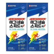 일양약품 마그네슘 스피드액 20g x 14포 2개 /