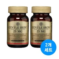 Solgar Gentle Iron (Iron Bisglycinate) 솔가 젠틀 아이언 철분제 영양제 25mg 90정 2팩